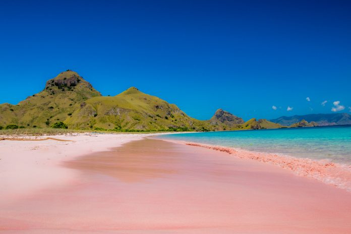 beaches