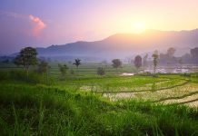 9 reasons Bali isn’t just for holidays