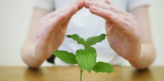 hands-free real estate investment