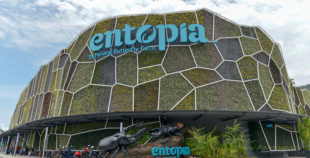 Entopia