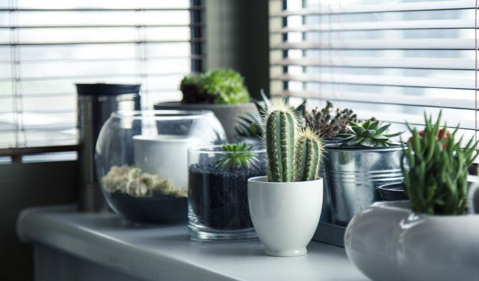 Cactus 2019 interior design trends for condos