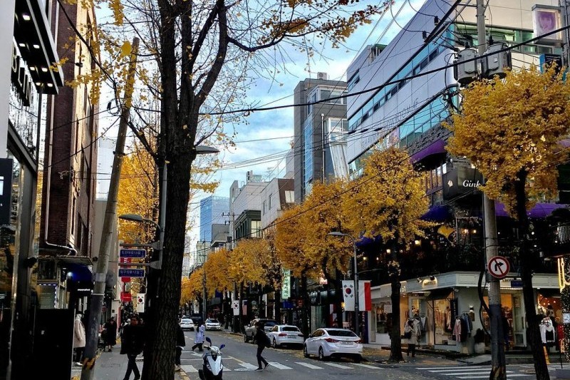 Garosu-gil