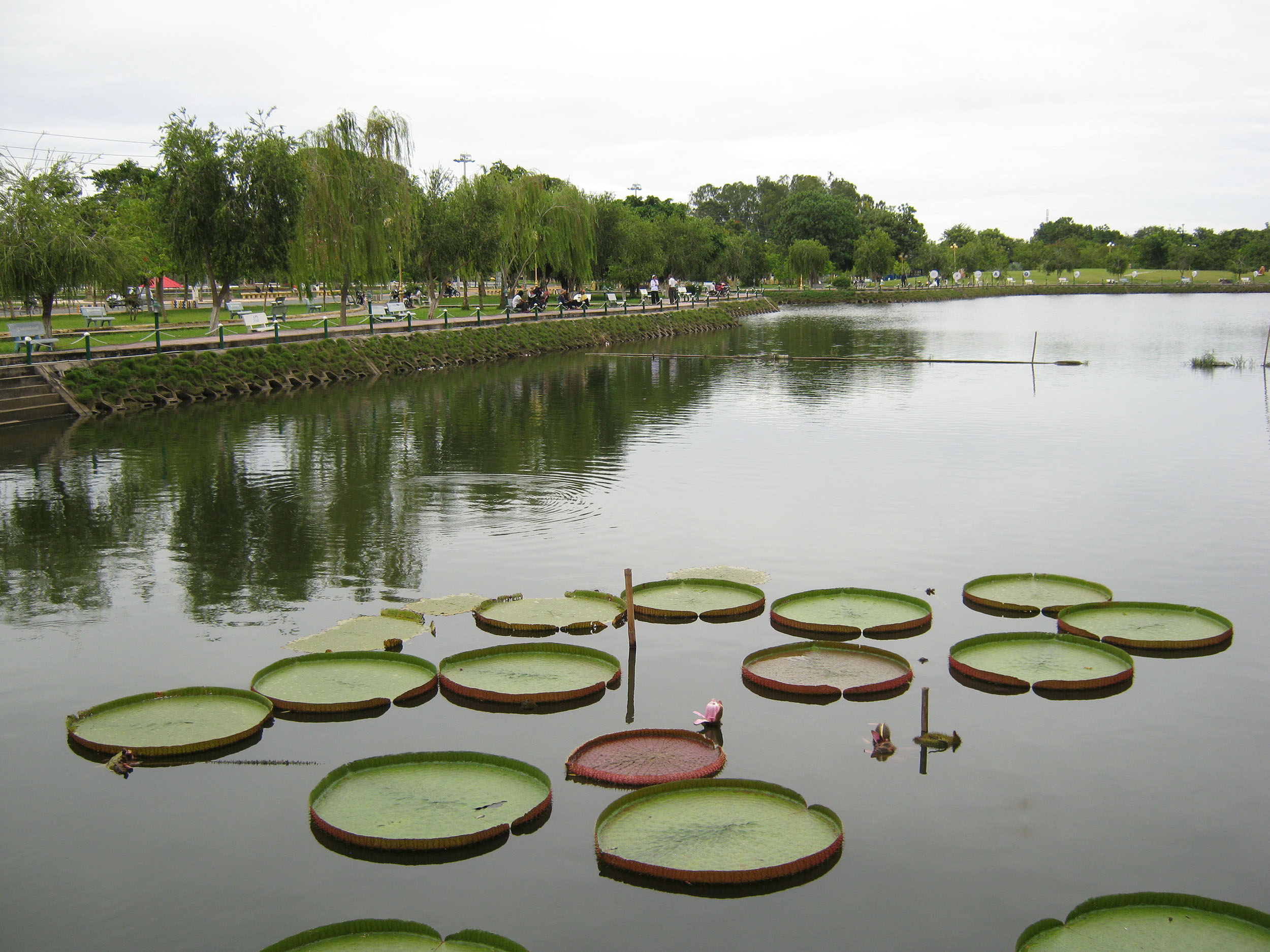 Van Thanh Park
