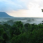 Daintree-propety-Australia-1