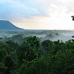 Daintree-propety-Australia-1