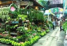 ตกแต่งบ้าน03