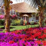 บ้านในฝัน15