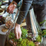 สวนสวยกะทัดรัดในบ้าน