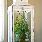 สวนสวยกะทัดรัดในบ้าน