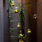 สวนสวยกะทัดรัดในบ้าน