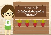 ตกแต่งบ้านด้วยไม้ระแนง