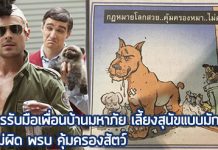 พรบ คุ้มครองสัตว์,เลี้ยงหมาในบ้าน,หมาขี้หน้าบ้าน,ไล่หมา