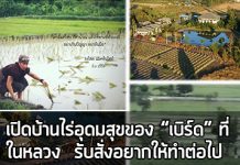 บ้านไร่อุดมสุข, เบิร์ด ธงไชย, ธงไชย แมคอินไตย์_1