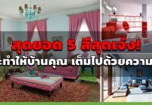 ทาสีบ้าน,วิธีทาสีบ้าน,แบบทาสีบ้าน_1