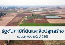 ภาษีที่ดินและสิ่งปลูกสร้าง