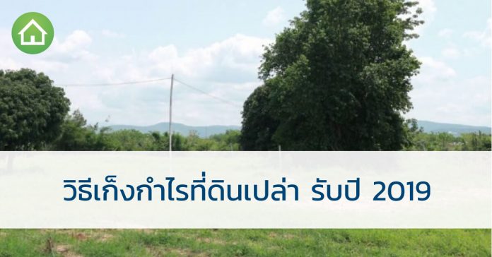วิธีเก็งกำไร ที่ดิน เปล่า รับปี 2019 ที่ดิน