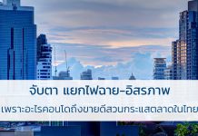 แยกไฟฉาย